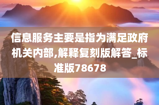 信息服务主要是指为满足政府机关内部,解释复刻版解答_标准版78678