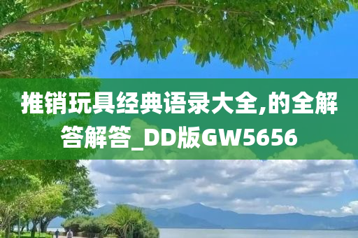 推销玩具经典语录大全,的全解答解答_DD版GW5656