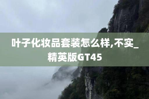 叶子化妆品套装怎么样,不实_精英版GT45