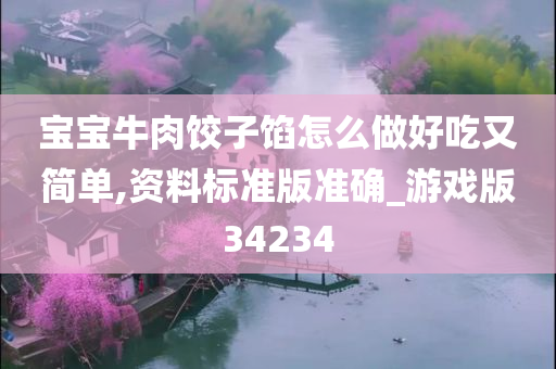 宝宝牛肉饺子馅怎么做好吃又简单,资料标准版准确_游戏版34234