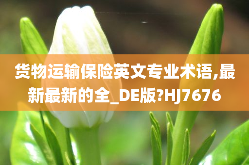 货物运输保险英文专业术语,最新最新的全_DE版?HJ7676