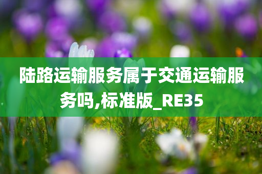 陆路运输服务属于交通运输服务吗,标准版_RE35