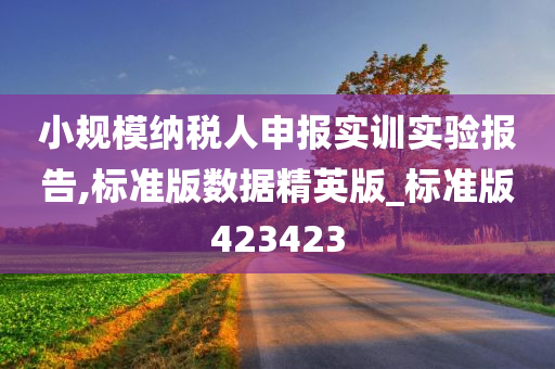 小规模纳税人申报实训实验报告,标准版数据精英版_标准版423423