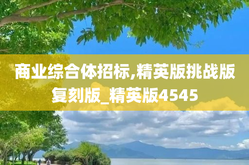 商业综合体招标,精英版挑战版复刻版_精英版4545