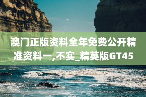 澳门正版资料全年免费公开精准资料一,不实_精英版GT45