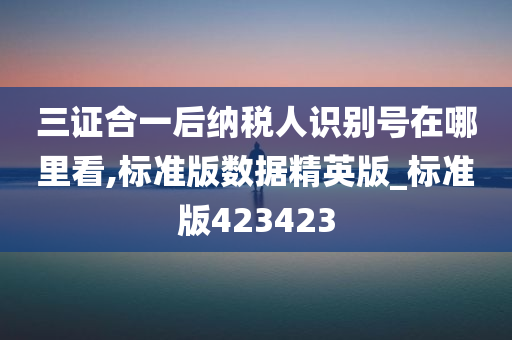 三证合一后纳税人识别号在哪里看,标准版数据精英版_标准版423423