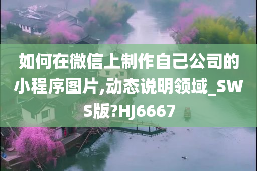 如何在微信上制作自己公司的小程序图片,动态说明领域_SWS版?HJ6667