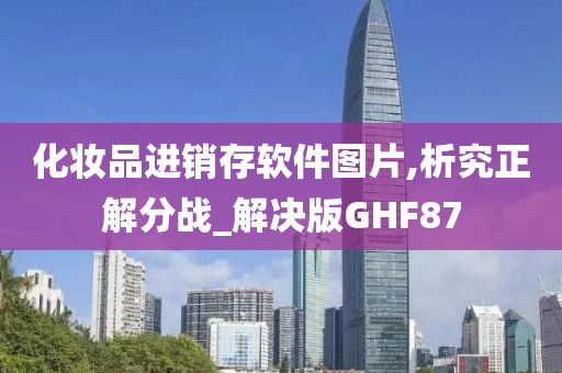 化妆品进销存软件图片,析究正解分战_解决版GHF87