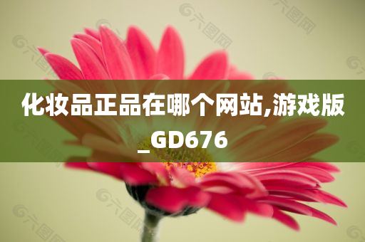 化妆品正品在哪个网站,游戏版_GD676