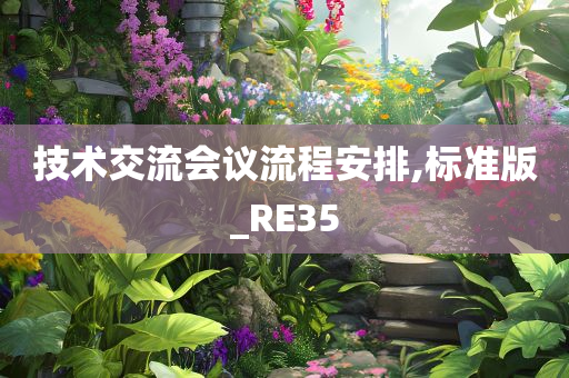 技术交流会议流程安排,标准版_RE35