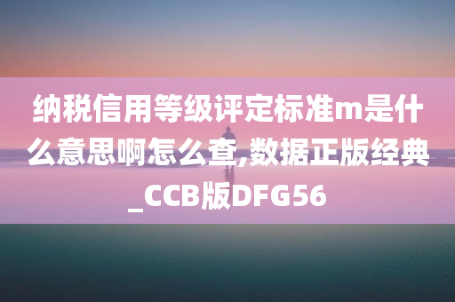 纳税信用等级评定标准m是什么意思啊怎么查,数据正版经典_CCB版DFG56