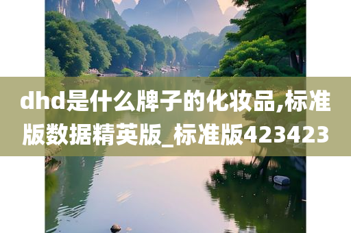 dhd是什么牌子的化妆品,标准版数据精英版_标准版423423