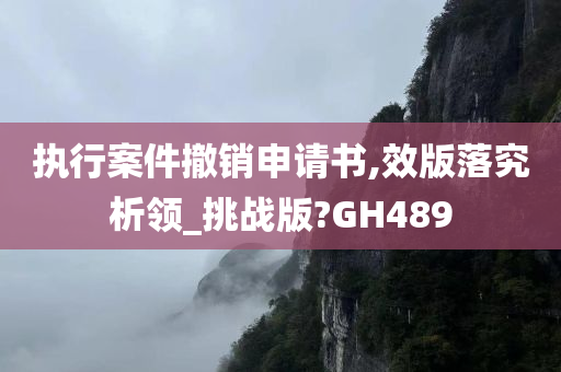 执行案件撤销申请书,效版落究析领_挑战版?GH489