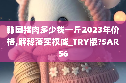 韩国猪肉多少钱一斤2023年价格,解释落实权威_TRY版?SAR56