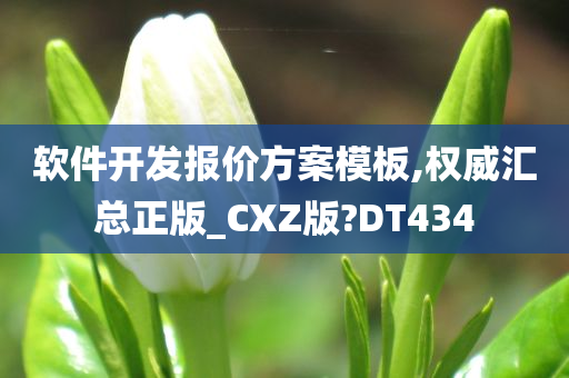 软件开发报价方案模板,权威汇总正版_CXZ版?DT434