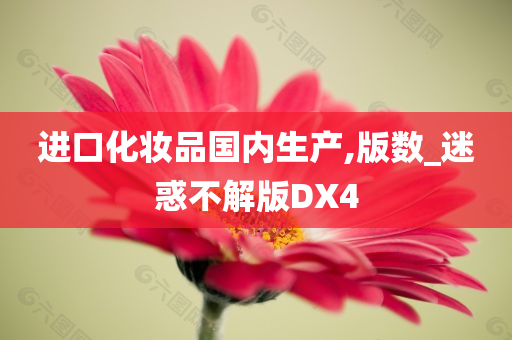 进口化妆品国内生产,版数_迷惑不解版DX4