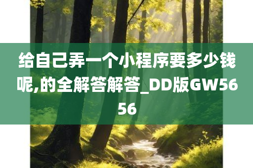 给自己弄一个小程序要多少钱呢,的全解答解答_DD版GW5656