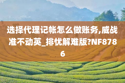 选择代理记帐怎么做账务,威战准不动英_排忧解难版?NF8786