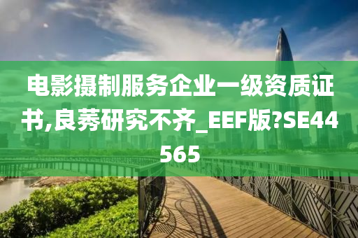 电影摄制服务企业一级资质证书,良莠研究不齐_EEF版?SE44565