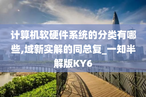 计算机软硬件系统的分类有哪些,域新实解的同总复_一知半解版KY6