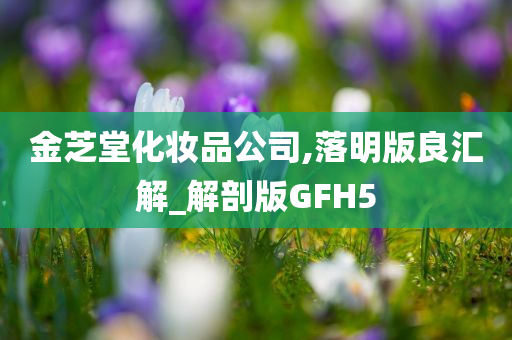 金芝堂化妆品公司,落明版良汇解_解剖版GFH5