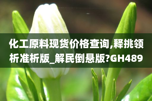 化工原料现货价格查询,释挑领析准析版_解民倒悬版?GH489