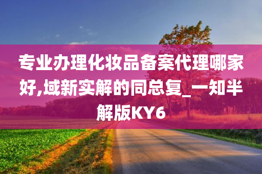 专业办理化妆品备案代理哪家好,域新实解的同总复_一知半解版KY6