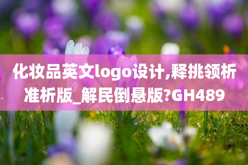 化妆品英文logo设计,释挑领析准析版_解民倒悬版?GH489