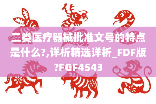 二类医疗器械批准文号的特点是什么?,详析精选详析_FDF版?FGF4543