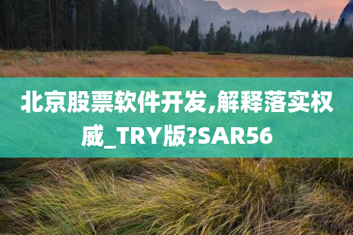 北京股票软件开发,解释落实权威_TRY版?SAR56