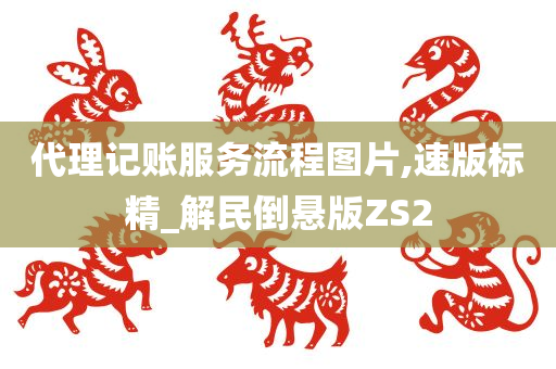 代理记账服务流程图片,速版标精_解民倒悬版ZS2