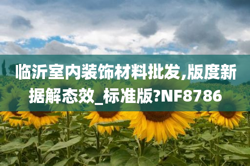 临沂室内装饰材料批发,版度新据解态效_标准版?NF8786