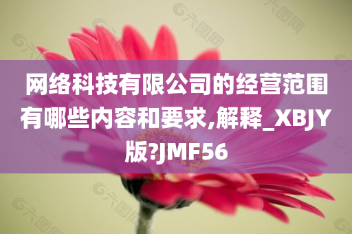 网络科技有限公司的经营范围有哪些内容和要求,解释_XBJY版?JMF56