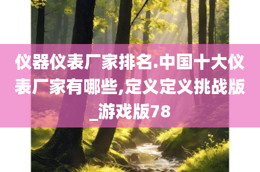 仪器仪表厂家排名.中国十大仪表厂家有哪些,定义定义挑战版_游戏版78