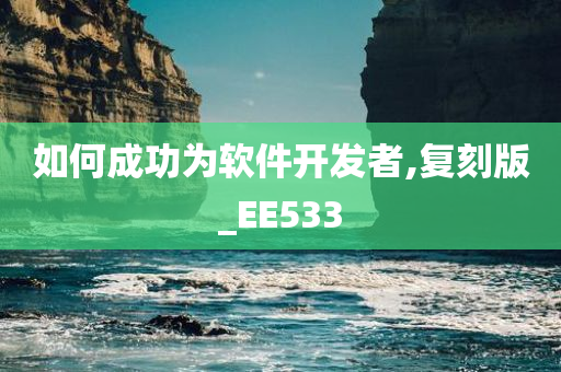 如何成功为软件开发者,复刻版_EE533