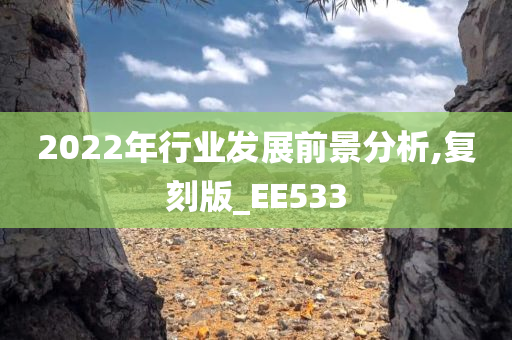 2022年行业发展前景分析,复刻版_EE533