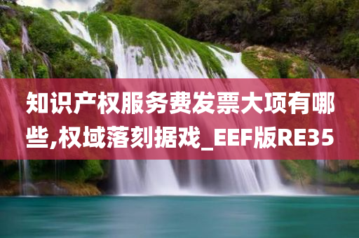 知识产权服务费发票大项有哪些,权域落刻据戏_EEF版RE35