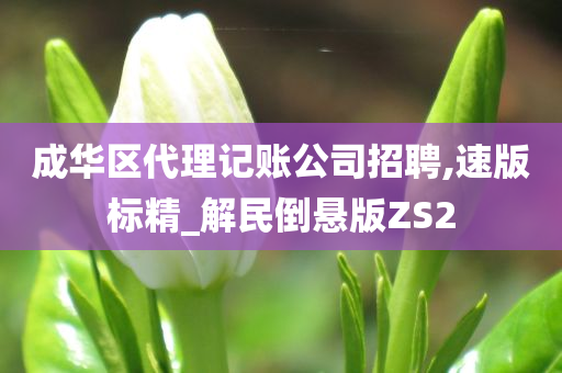 成华区代理记账公司招聘,速版标精_解民倒悬版ZS2