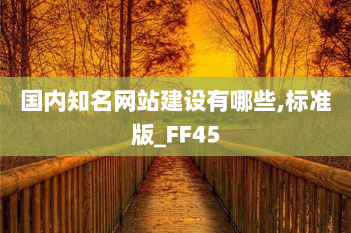 国内知名网站建设有哪些,标准版_FF45