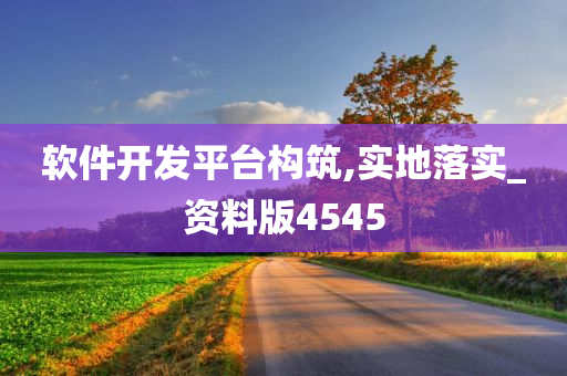 软件开发平台构筑,实地落实_资料版4545