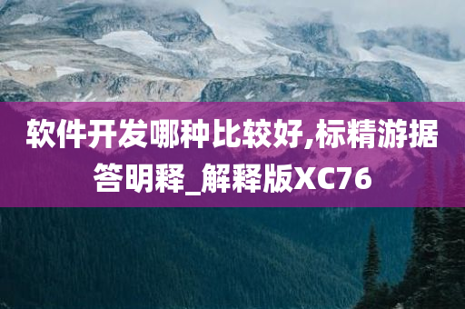 软件开发哪种比较好,标精游据答明释_解释版XC76