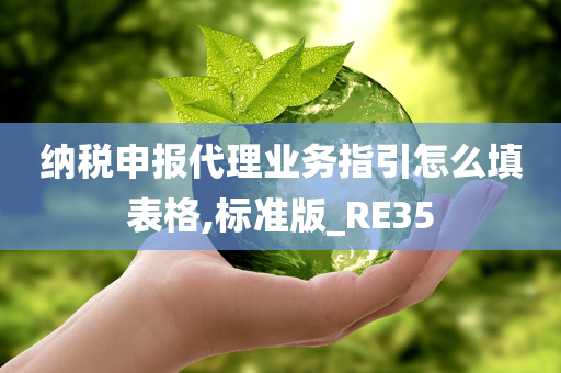 纳税申报代理业务指引怎么填表格,标准版_RE35