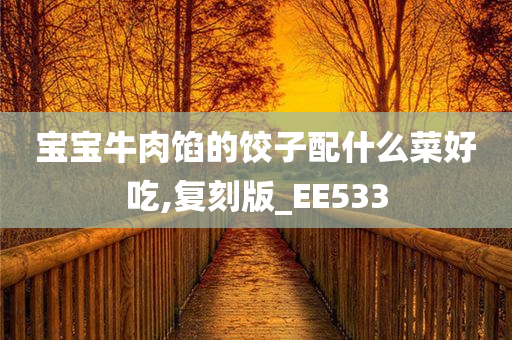 宝宝牛肉馅的饺子配什么菜好吃,复刻版_EE533