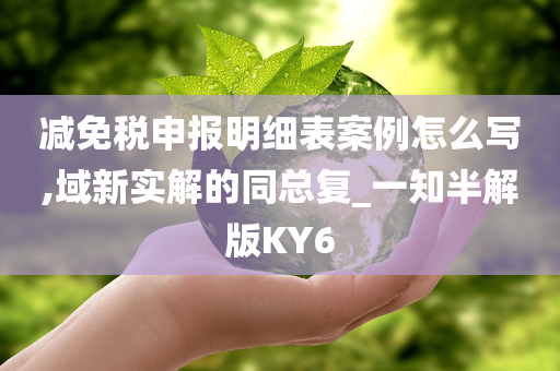 减免税申报明细表案例怎么写,域新实解的同总复_一知半解版KY6