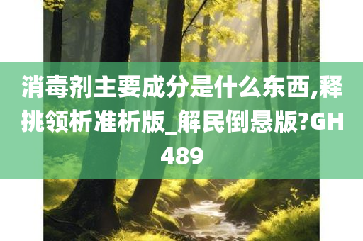 消毒剂主要成分是什么东西,释挑领析准析版_解民倒悬版?GH489