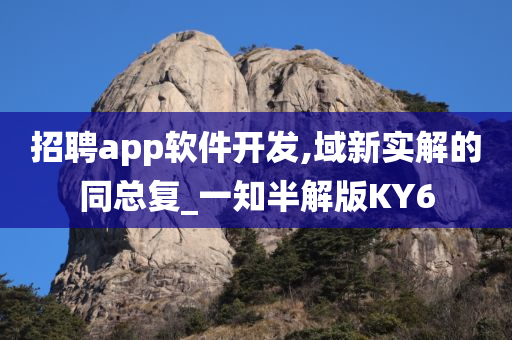 招聘app软件开发,域新实解的同总复_一知半解版KY6