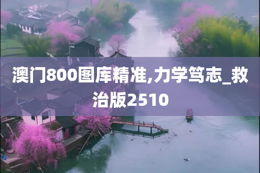 澳门800图库精准,力学笃志_救治版2510