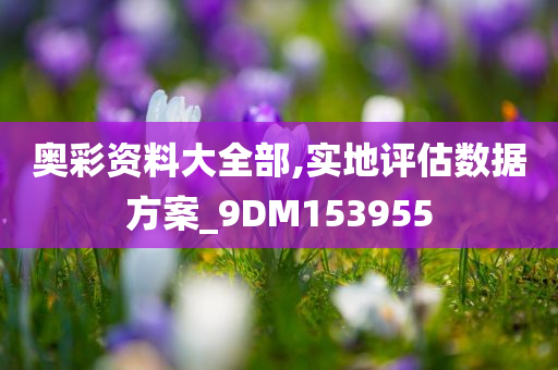 奥彩资料大全部,实地评估数据方案_9DM153955