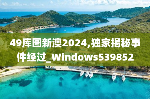 49库图新澳2024,独家揭秘事件经过_Windows539852