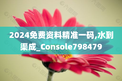 2024免费资料精准一码,水到渠成_Console798479